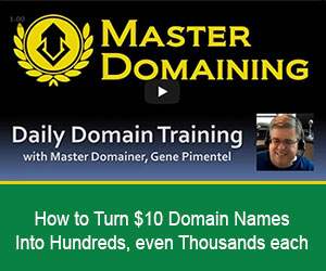 Master Domaining Course